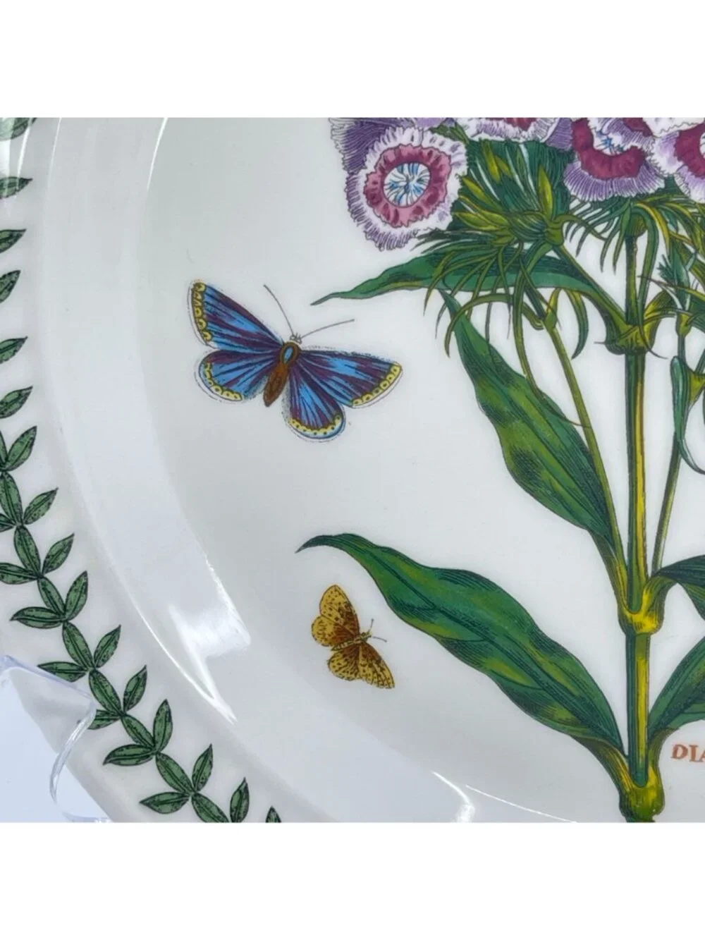 portmeirion botanic garden collection salad plate 
